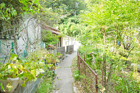 柴田さんが子どもの頃よく遊んでいた裏山へ続く道